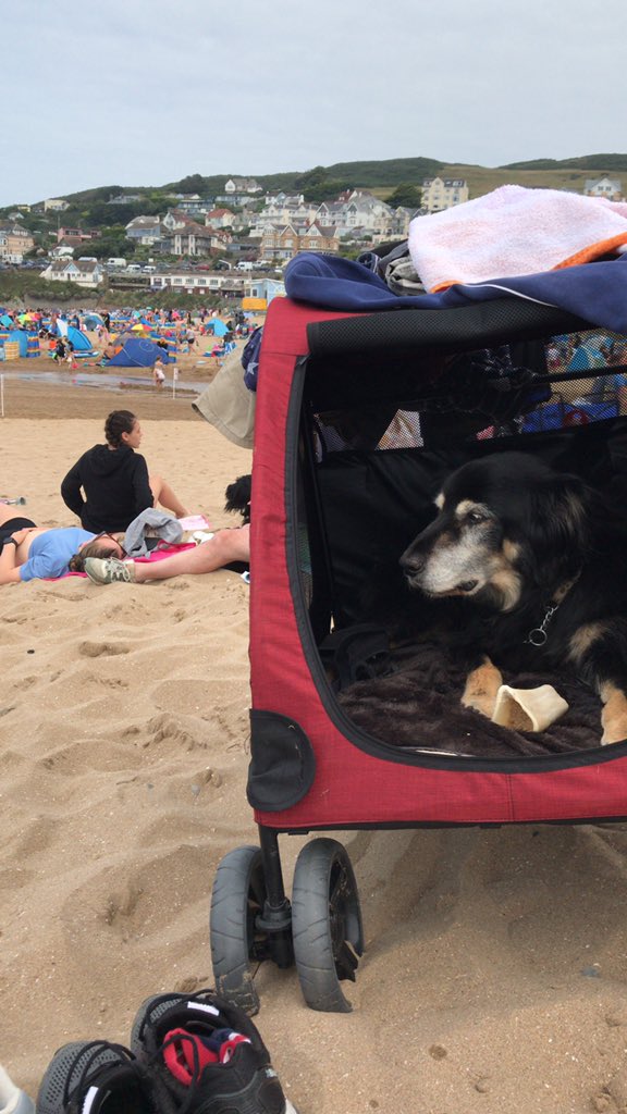 BevColey's tweet photo. Great weather in North Devon https://t.co/amdxoM24jP