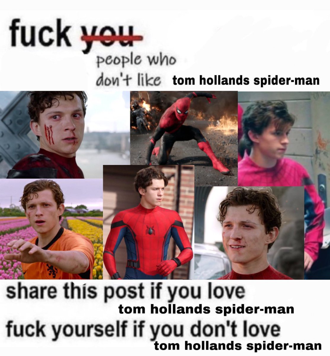 RT @SpideyyRomanoff: anyways stan Tom Holland as our friendly neighborhood Spider-Man https://t.co/lfJBIcIlcq
