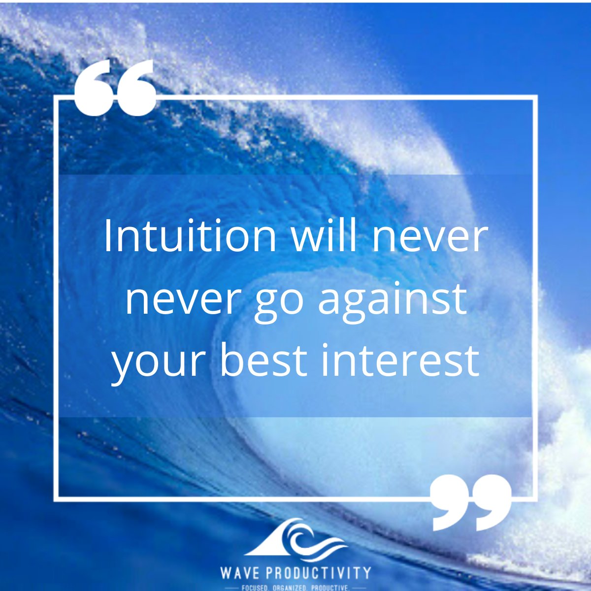 Asked in my coaching call today---What is your gut telling you?