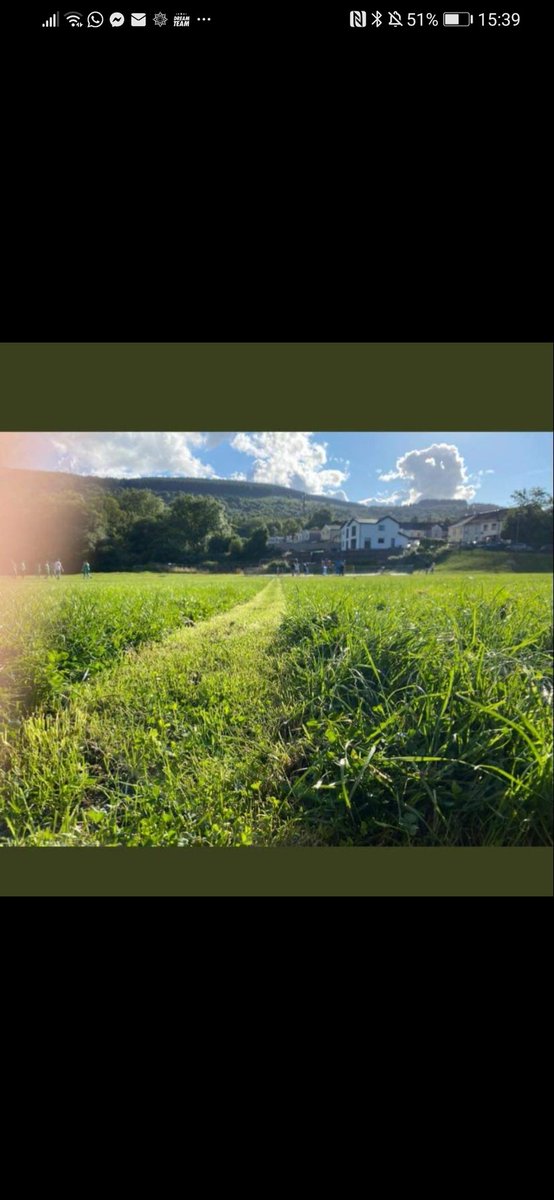 Pikej tweet media