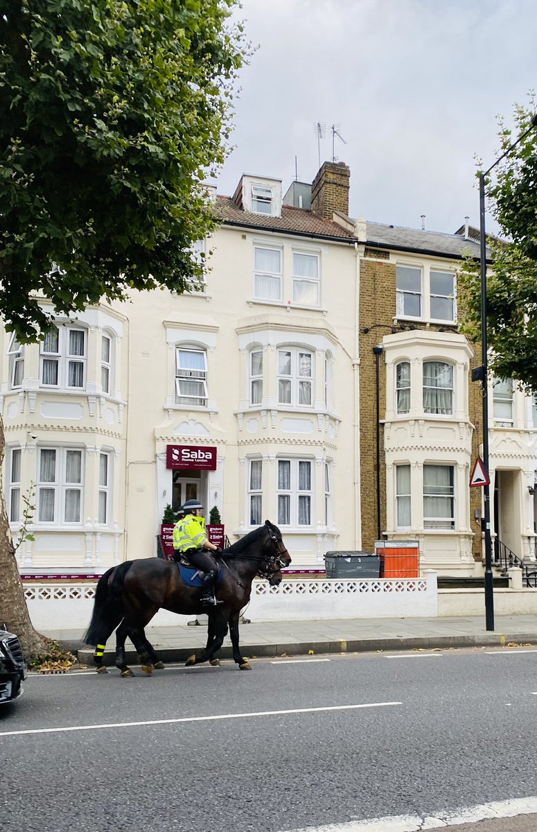 Sandy DelosSantos (@dsandelor) on Twitter photo On my way to the gym ๐ช#NursesActive #ImperialActive <a href="/MarcelleTauber/">Marcelle Tauber-Gilmore, RGN, BSc, MSc ๐๐</a> <a href="/Lailanie33/">Lailanie๐</a> <a href="/sasa_richard/">Richard G Sasa</a> <a href="/cmrobin392/">Christine Robinson</a> On my way to the gym ๐ช#NursesActive #ImperialActive <a href="/MarcelleTauber/">Marcelle Tauber-Gilmore, RGN, BSc, MSc ๐๐</a> <a href="/Lailanie33/">Lailanie๐</a> <a href="/sasa_richard/">Richard G Sasa</a> <a href="/cmrobin392/">Christine Robinson</a>