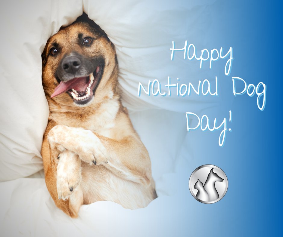 LIVSPlainview's tweet photo. They slobber, they're known to hog the bed, but most importantly...they're our best friends. Today is #NationalDogDay! 🐾 https://t.co/lIRCYZaPzM