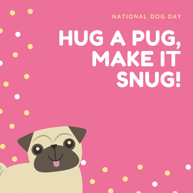 TheStandard_CLE's tweet photo. Today is #NationalDogDay! Make sure you hug your furry friend extra hard today or stop down to the office to give your very good boy or girl a treat!

#NationalDogDay https://t.co/Bb2DUG4mRo