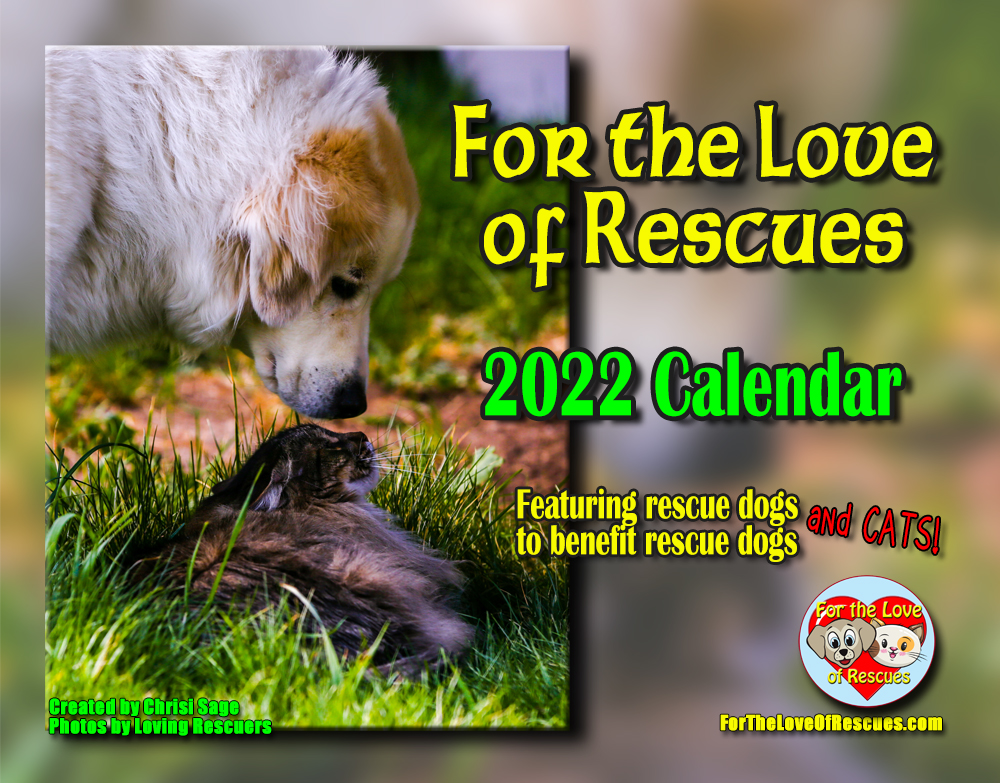 ForLoveofRescue's tweet photo. It's been 16 years in the making. The first year our cutie canines are sharing the wall with our furry felines! 100% of the proceeds goes to participating rescue groups. https://t.co/UwiafzDQQQ
#dogrescue #catrescue #animalrescue #CatsOfTwitter #dogsoftwitter #2022calendar https://t.co/vyRIRTRYO6