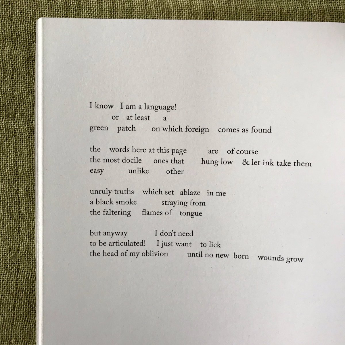 _oliviadouglass's tweet photo. Snippet from ‘Can I     We really be all this !!!!’

My new poem/lyric essay in @N_P_MAGAZINE on love, memory &amp; childhood. 

I had to write this one for baby me. We came so far, out out of so much, still wandering.

Get a copy to read the full version: 
https://t.co/J8grzTK8mB https://t.co/8ZYDFUuCTo