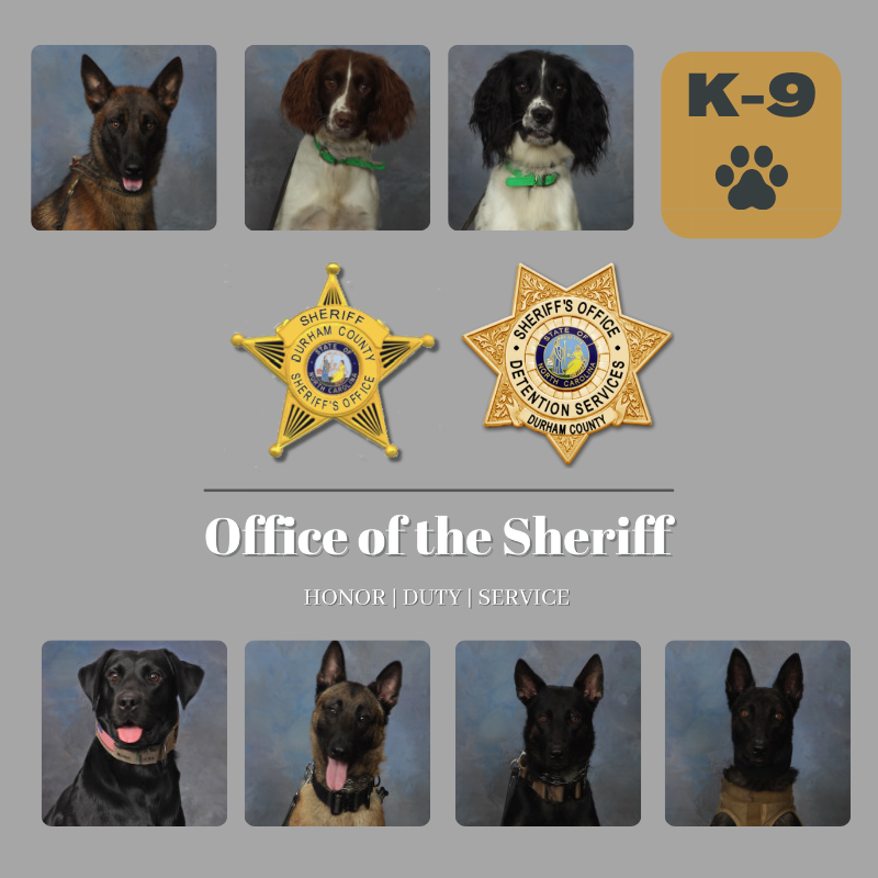 DurhamSheriff's tweet photo. In honor of #NationalDogDay we want to give some love to #K9Trooper #K9Oakley #K9Freddie #K9Reggie #K9Ronnie #K9Floki &amp; #K9Trax. The dogs of DCSO help find lost people, sniff out hazardous devices, and search for hidden items. All these #GoodBoys will get extra belly rubs today🐶 https://t.co/FRRzDuaniY