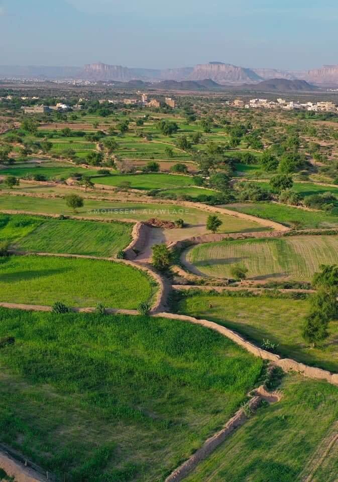 صورة جوية لمزارع قرية قوبان - مديرية عتق اليوم

#شبوة