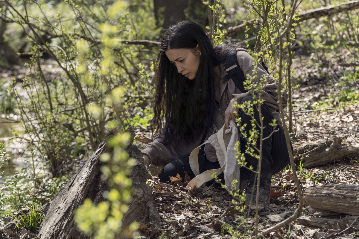 дэрил из ходячих мертвецов 11 сезон. ходячие мертвецы рик граймс и зомби. ходячие мертвецы 4 11. розита эспиноза ходячие мертвецы. ходячие мертвецы 4 11.