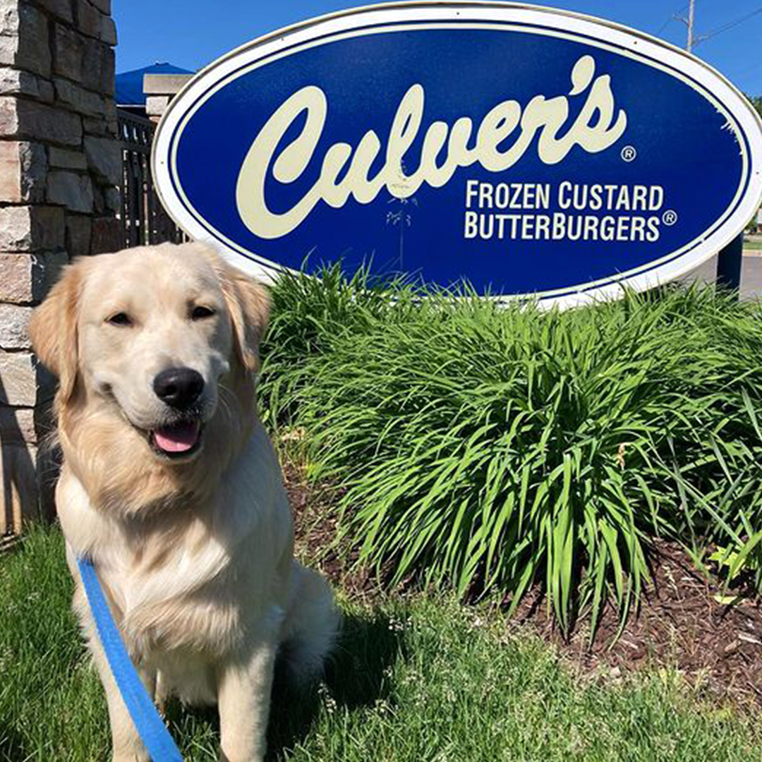 culvers's tweet photo. Every dog must have their day. Today is that day and they want Culver's! #NationalDogDay https://t.co/ufBXVtvkru