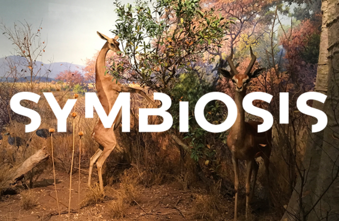 Är symbios svaret på samhällsbyggnadssektorns utmaningar? Starta hösten med extra inspiration i hållbarhetsarbetet genom en unik inblick i experimentet #Symbiosis på @_fargfabriken. 
Välkommen på medlemslunch med sektorskollegor den 3 sep! ➡️ iqs.se/natverk-och-mo…