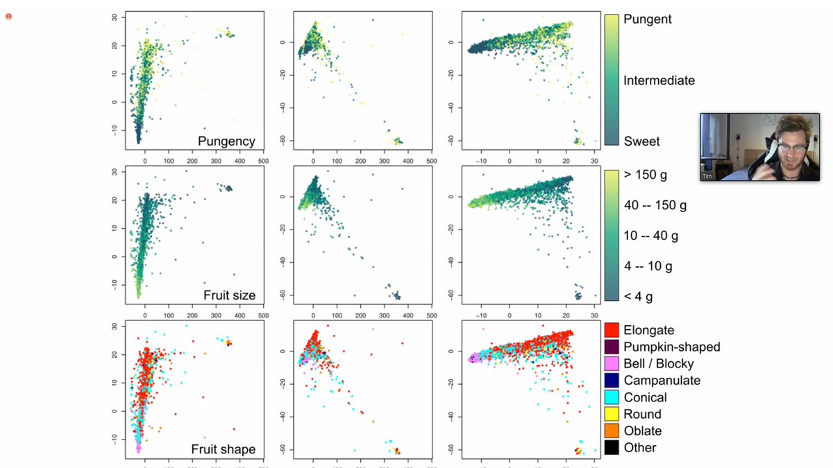 Solgenetics tweet media