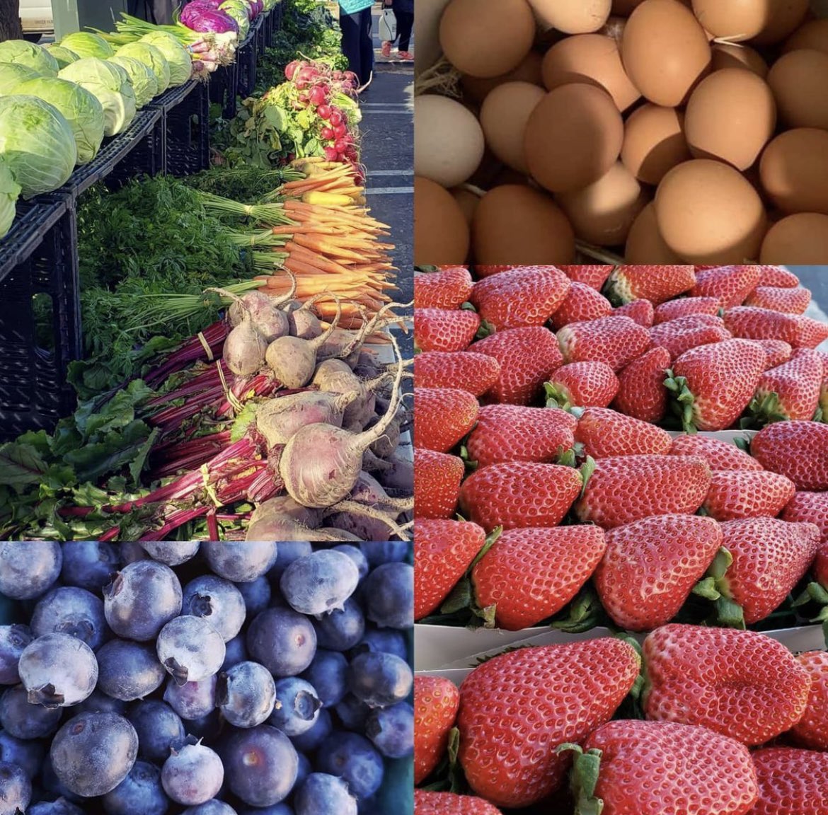 Healthy SBCSS team bringing nutrition education to Helendale’s Certified Farmers Market! Did you know you can get up to $10 in free fruits and vegetables when you use your #CalFreshEBT benefits? #MarketMatch #SupportLocalFarmers