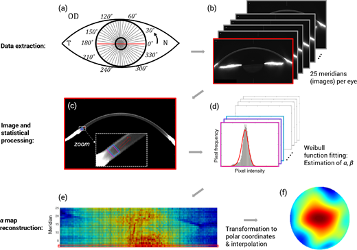 ARVOtvst's tweet image. New and free to read: "Detection of Subclinical #Keratoconus With a Validated Alternative Method to Corneal #Densitometry.” 

Full article: doi.org/10.1167/tvst.1… @unizar #cornea #imaging #ophthalmology #OpenAccess