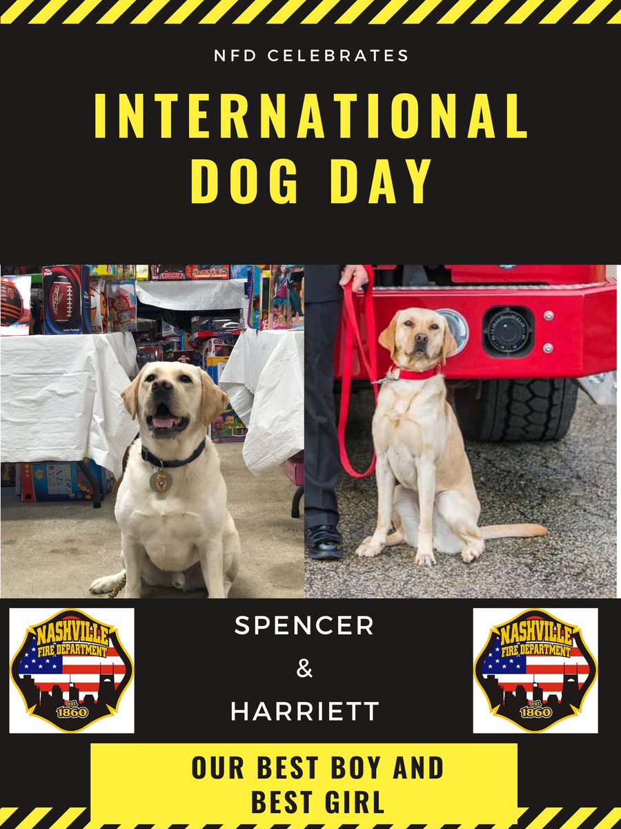 NashvilleFD's tweet photo. Join us in celebrating International Dog Day. Our Best Boy and Best Girl Arson K-9s Spencer and Harriett are our stars. #SpencersSniffer #NFDProud https://t.co/v7EgoFyBKA