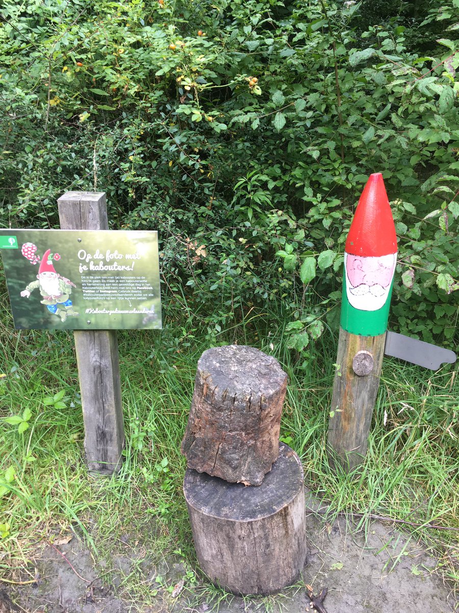 Marijn541's tweet photo. Ook #ZeeuwsVlaanderen is mooi op de fiets.Zoals dit #kabouterbos #fietsen https://t.co/6xuK9tq3Uw