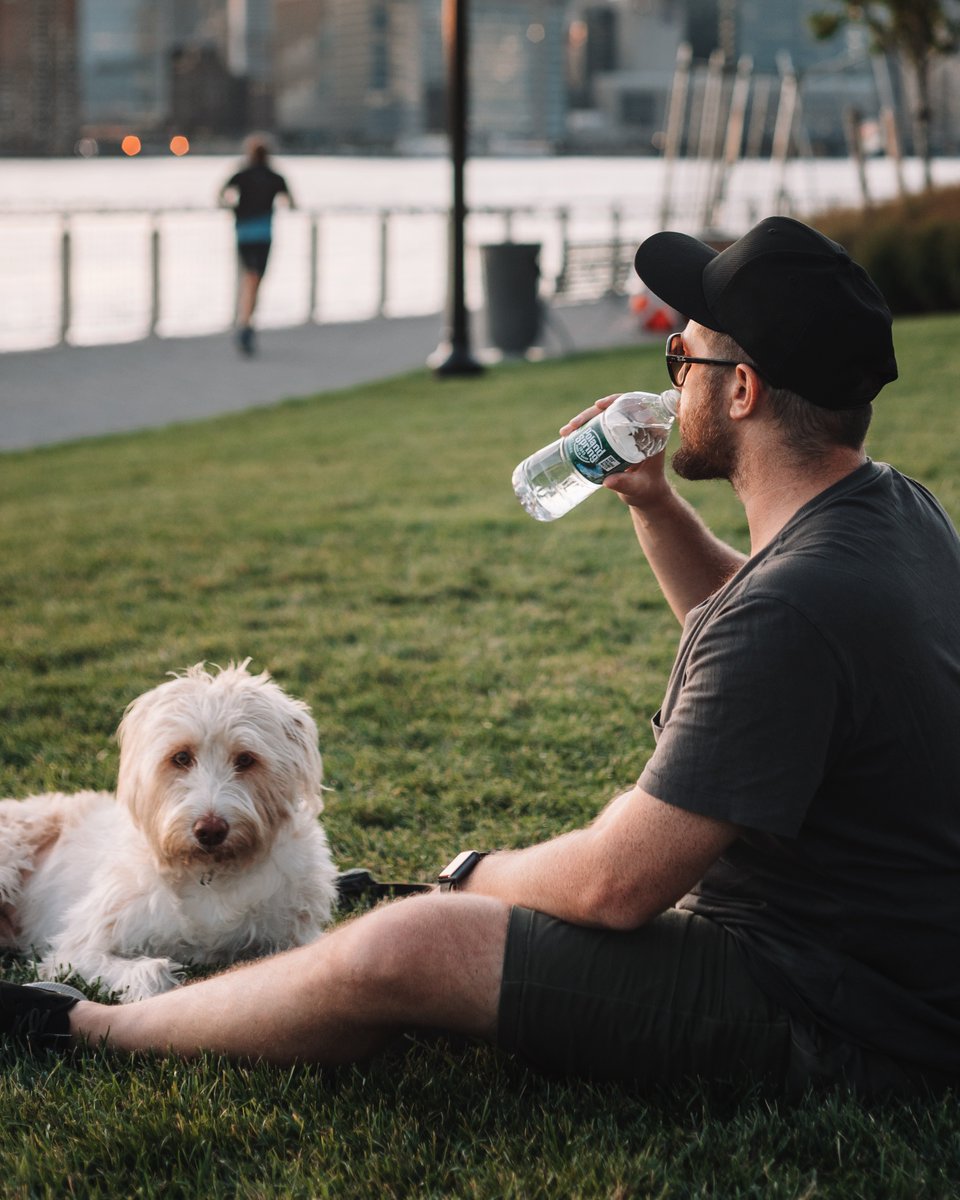 ReadyRefresh's tweet image. Happy National Dog Day to our furry pals, today and everyday! Give the gift of hydration to your pup today. 🐾 
.
.
.
#ReadyRefresh #RRDelivers #DeerPark