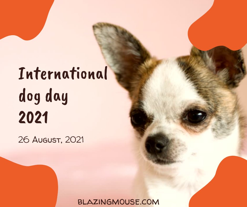 MouseBlazing's tweet photo. #happyinternationaldogsday2021 https://t.co/cf9aMeVFhq
