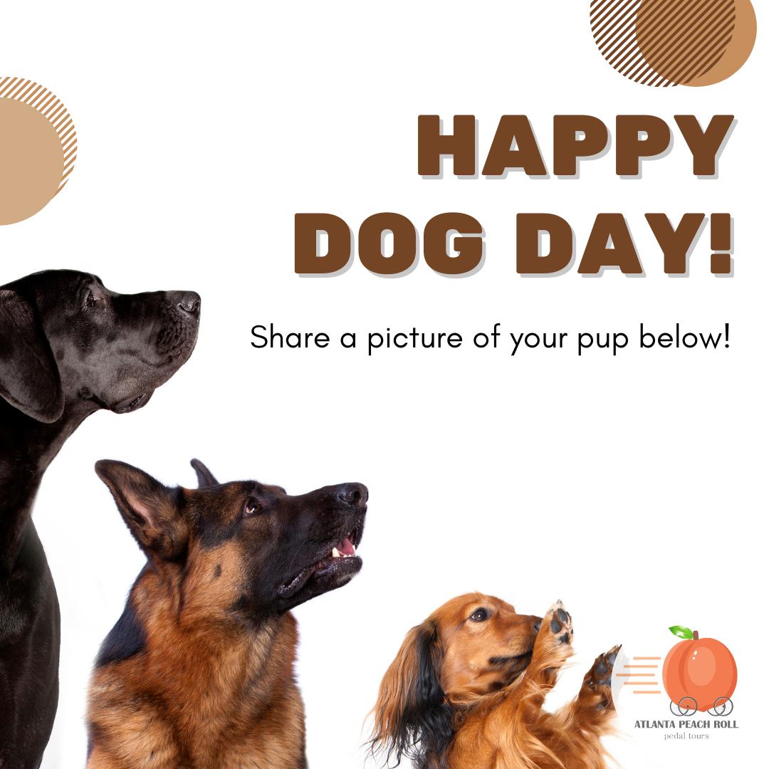 atlpeachroll's tweet photo. It’s National Dog Day! Share a photo of your favorite fur baby in the comments! #nationaldogday #doglovers https://t.co/GupclIvUhY