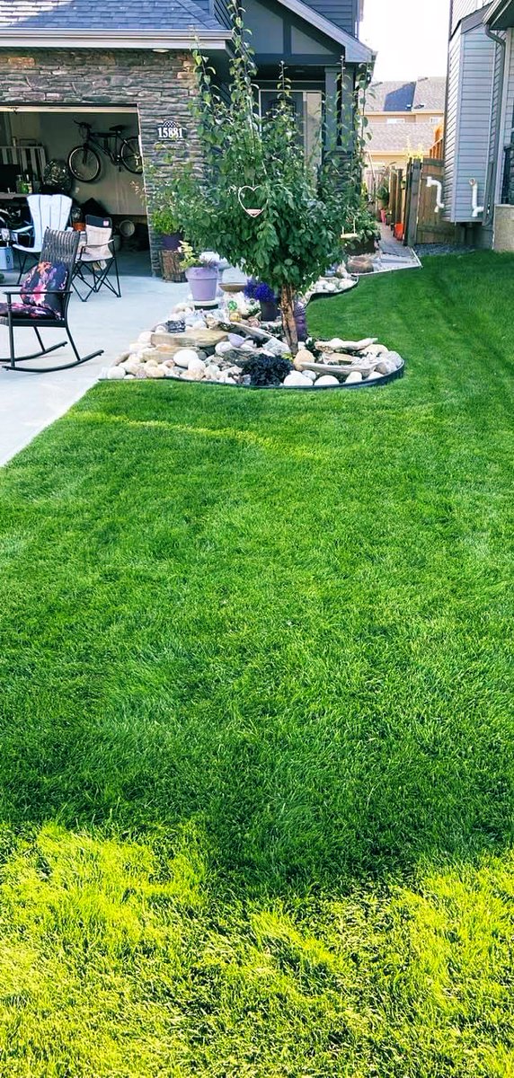 Surveyor Brett tweet media