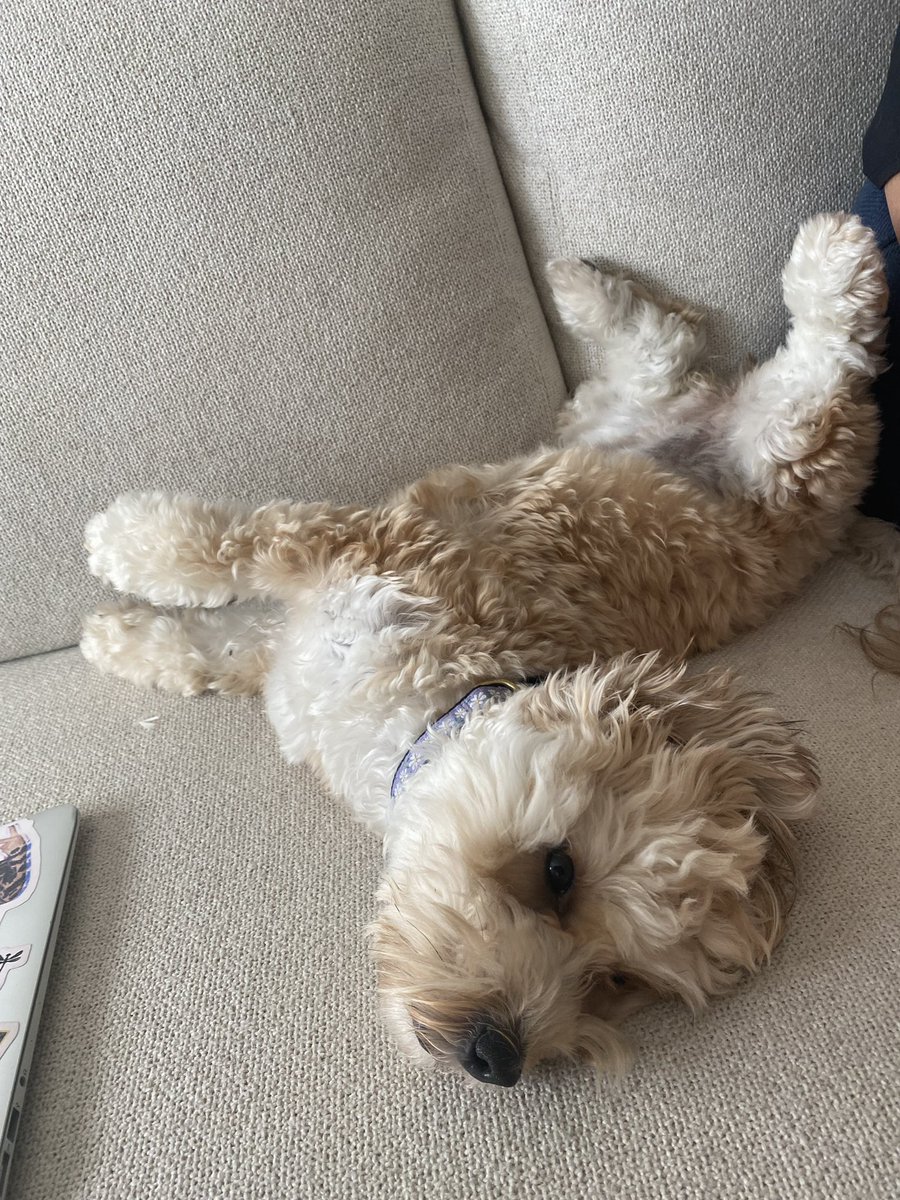 Attornneed tweet media