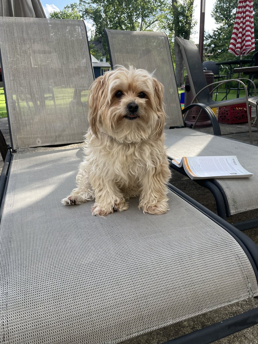 Attornneed tweet media