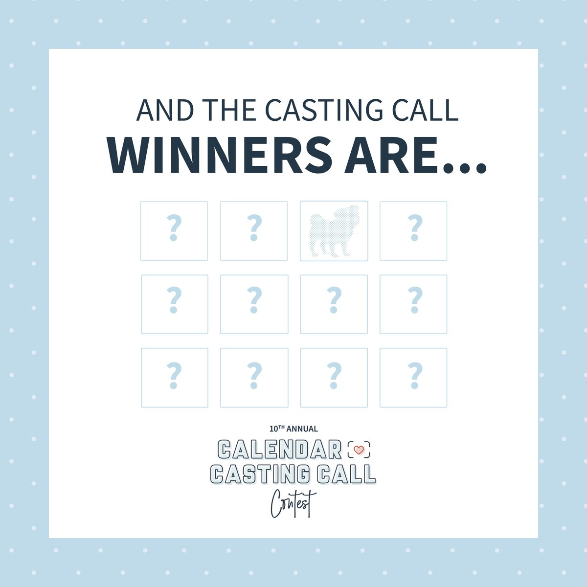 petvalu's tweet image. The wait is over! The judges&apos; votes are in...

*Drum roll please* 🥁

Click here to view the full list of 13 calendar winners: castingcall2021.lndg.page/RxrXdg

Calendars will be available in-store in November through a pay-what-you-can donation. 📅 #PVCastingCall2021