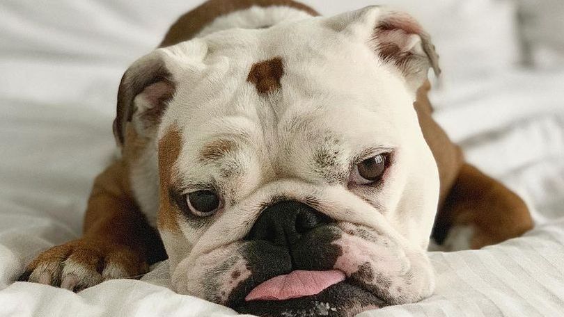 The St. Gregory Hotel Dupont Circle tweet media