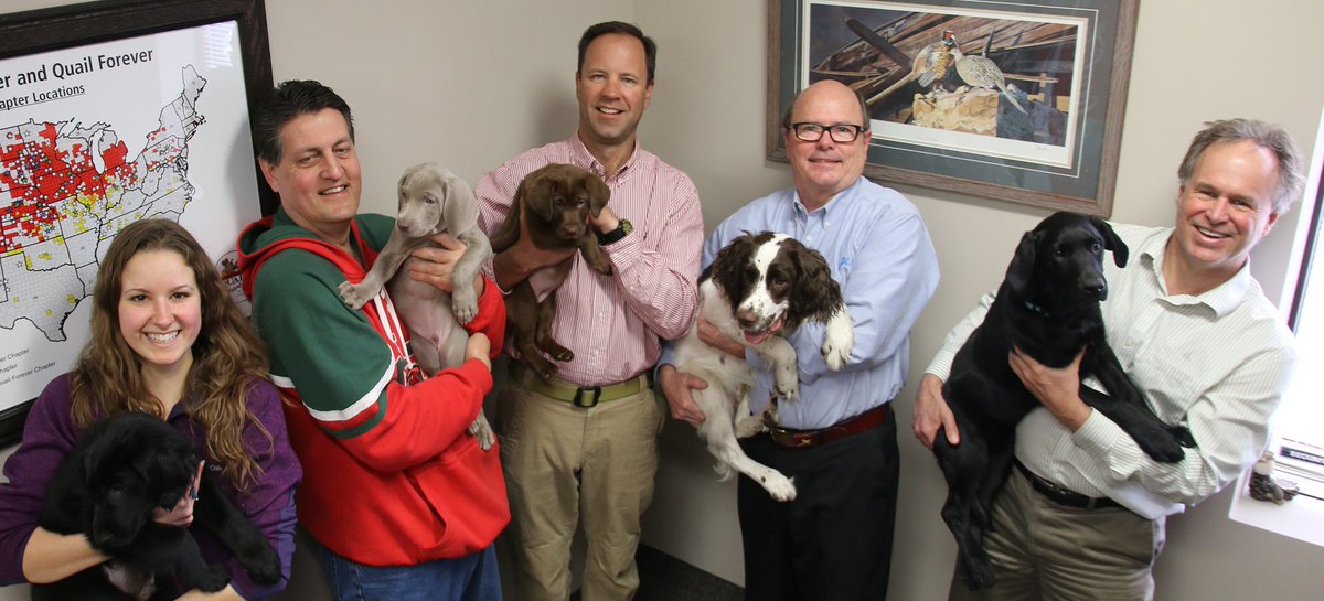 Pheasants Forever tweet media