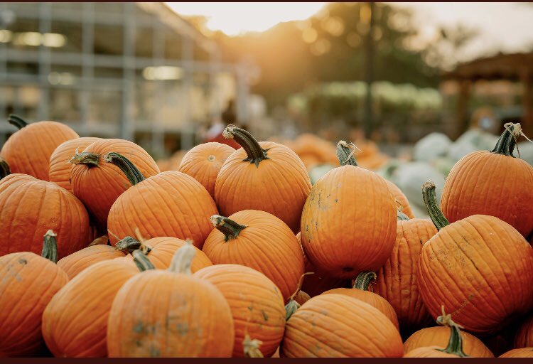 RootsDelco's tweet photo. It’s almost that time, Pumpkinland at Linvilla is opening in less than 3 weeks. 🎃🎃.  Friday Night Lights Delco HS edition starts tomorrow night! 🏈 Lots of big games to start off the season.  Bring on the Fall! #Delco #DelcoFootball #Linvilla https://t.co/NdQbe4pAWX