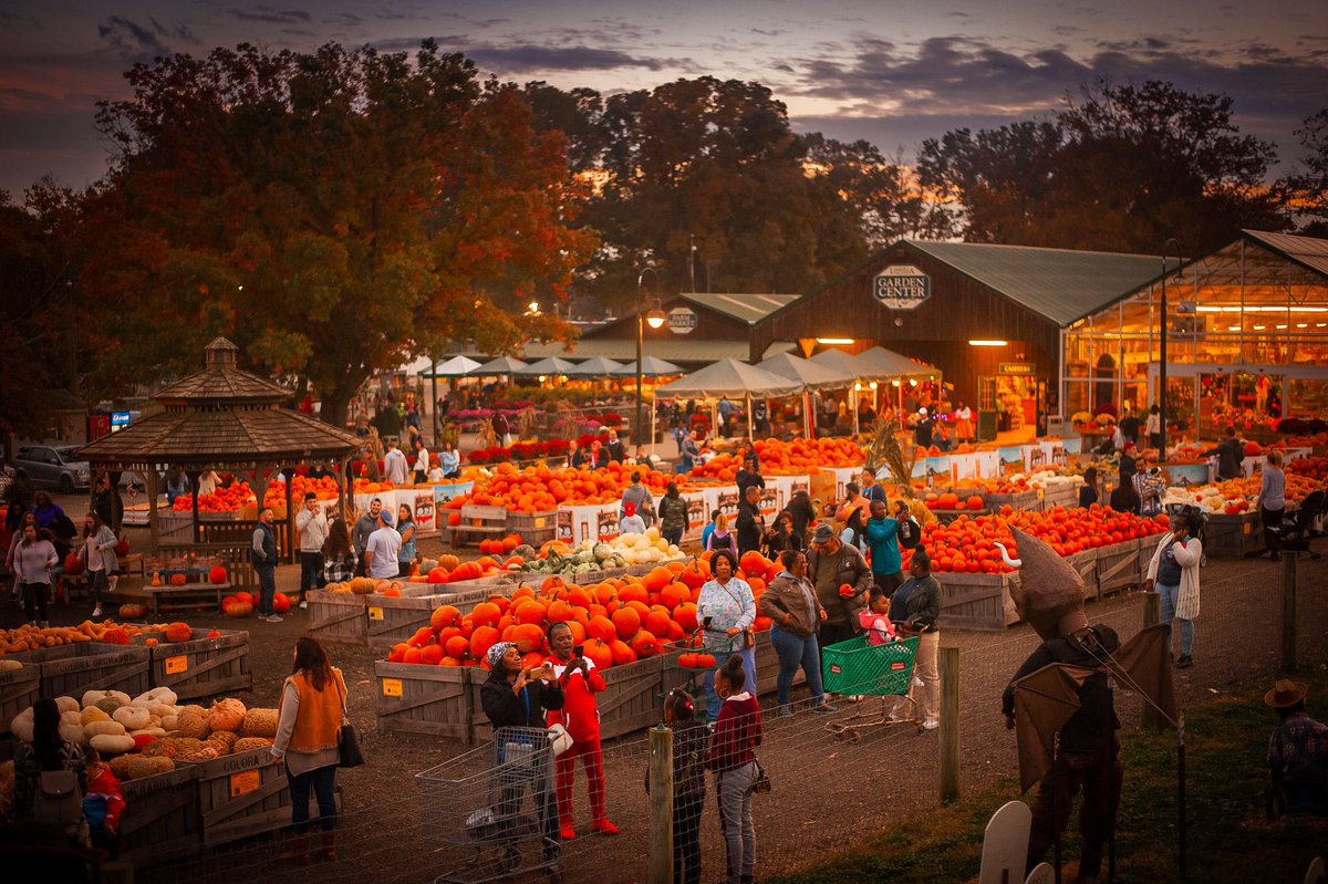 RootsDelco's tweet photo. It’s almost that time, Pumpkinland at Linvilla is opening in less than 3 weeks. 🎃🎃.  Friday Night Lights Delco HS edition starts tomorrow night! 🏈 Lots of big games to start off the season.  Bring on the Fall! #Delco #DelcoFootball #Linvilla https://t.co/NdQbe4pAWX