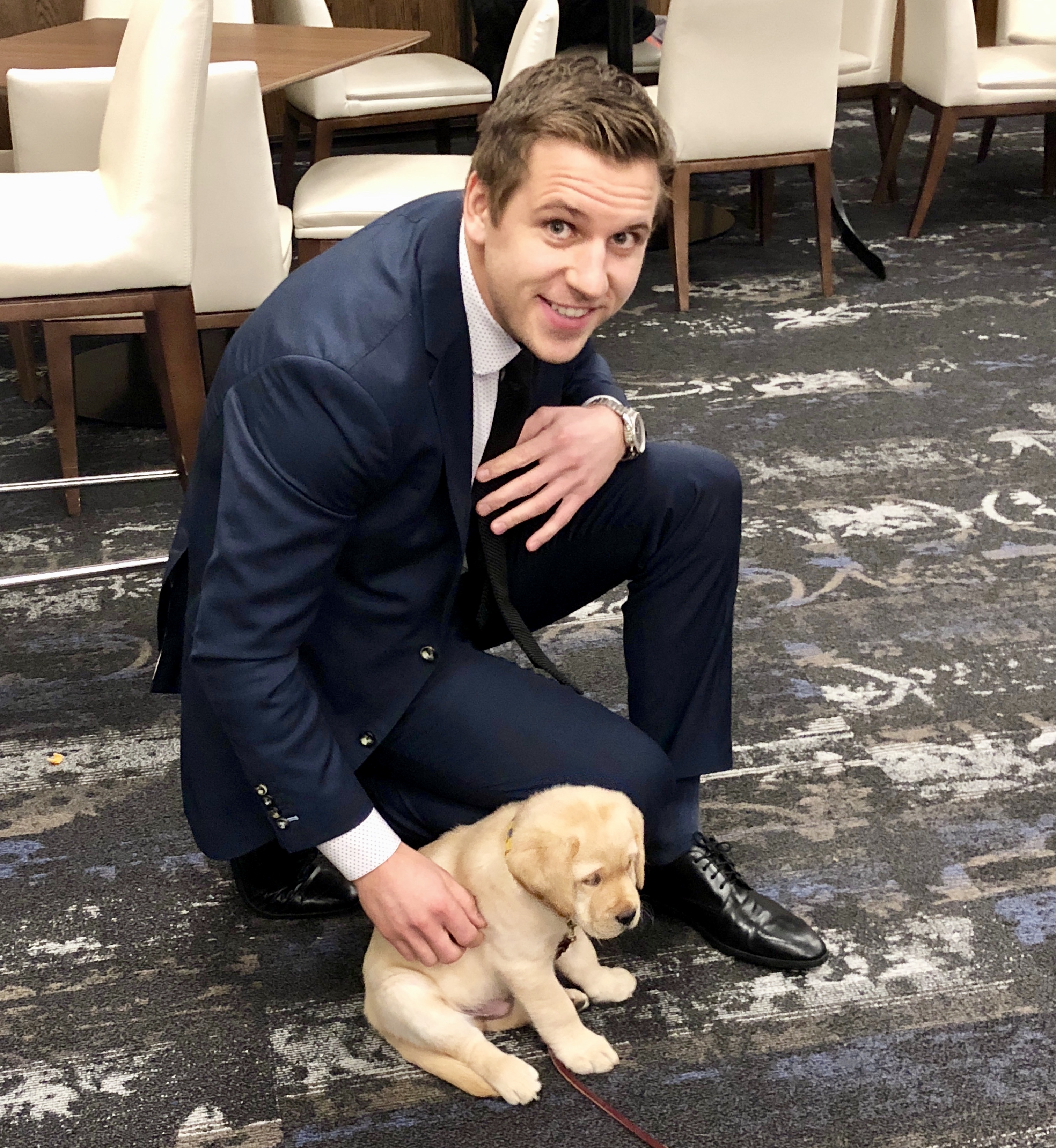 St. Louis Blues on X: We figure everyone could use a little Barclay  content right now. Happy #NationalPuppyDay! Do you have a pup who also  loves the Blues? Reply to this tweet