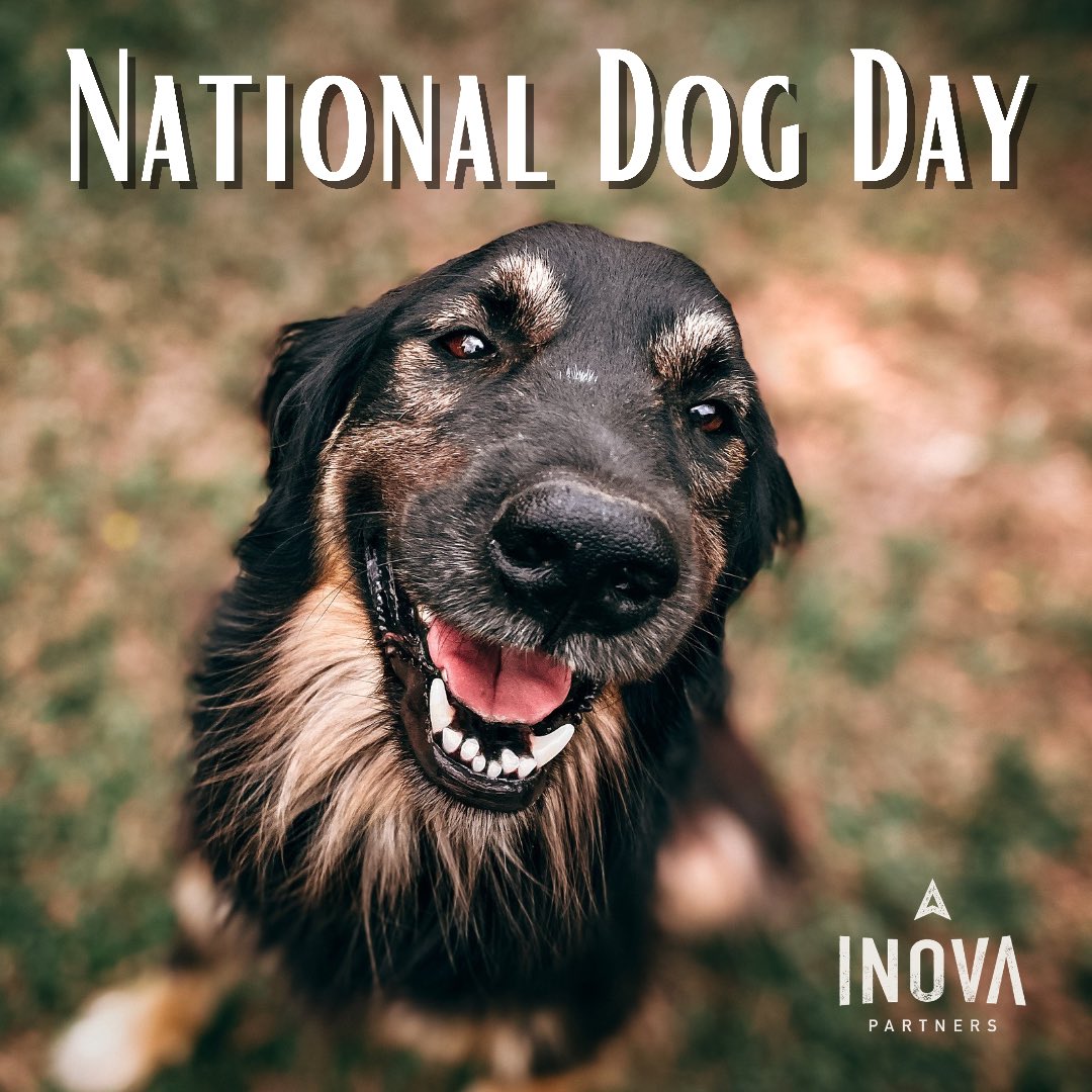 InovaPartners's tweet image. Happy National Dog Day! #NationalDogDay #veterinarymedicine #veterinarian