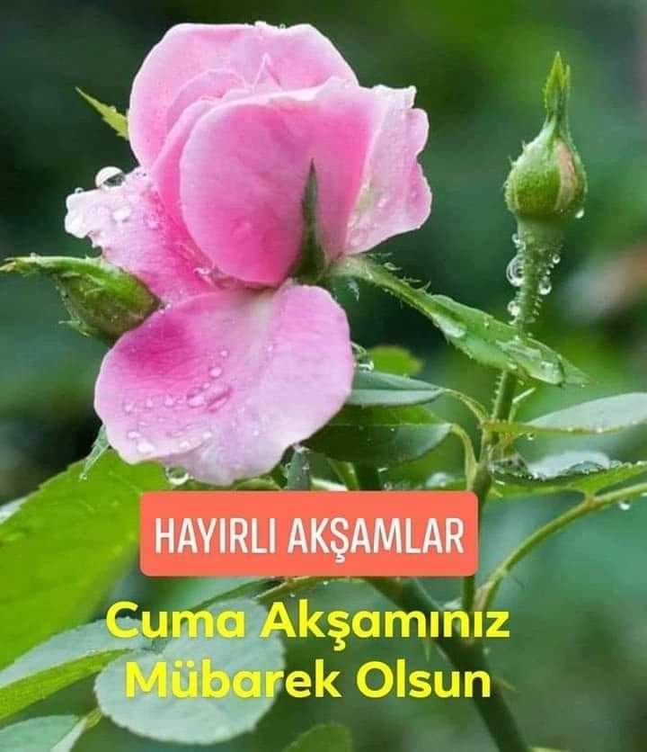 Aliavuolu18's tweet photo. Sağlıklı huzurlu
 mutlu akşamlar cuma aksamin mubarek olsun selamunaleykum https://t.co/hA3IbFBLTz