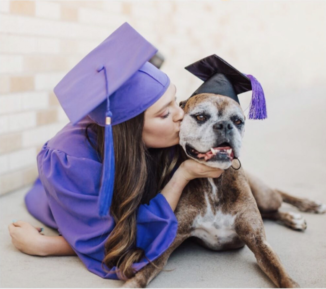 TCU's tweet photo. Happy #NationalDogDay to all our #FrogDogs! 💜🐶💜 #TCU https://t.co/gqqRZCN1ft