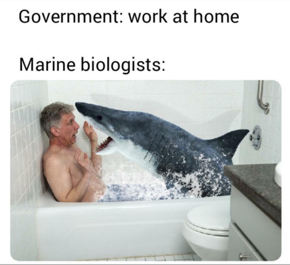 WholesomeMeme's tweet image. 