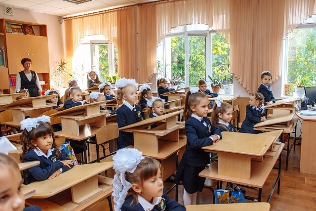 Образование в школе сейчас. Гимназия 30 Луганск. Раздельные школы. Раздельные школы для мальчиков и девочек. Трилцатая школа Луганск.