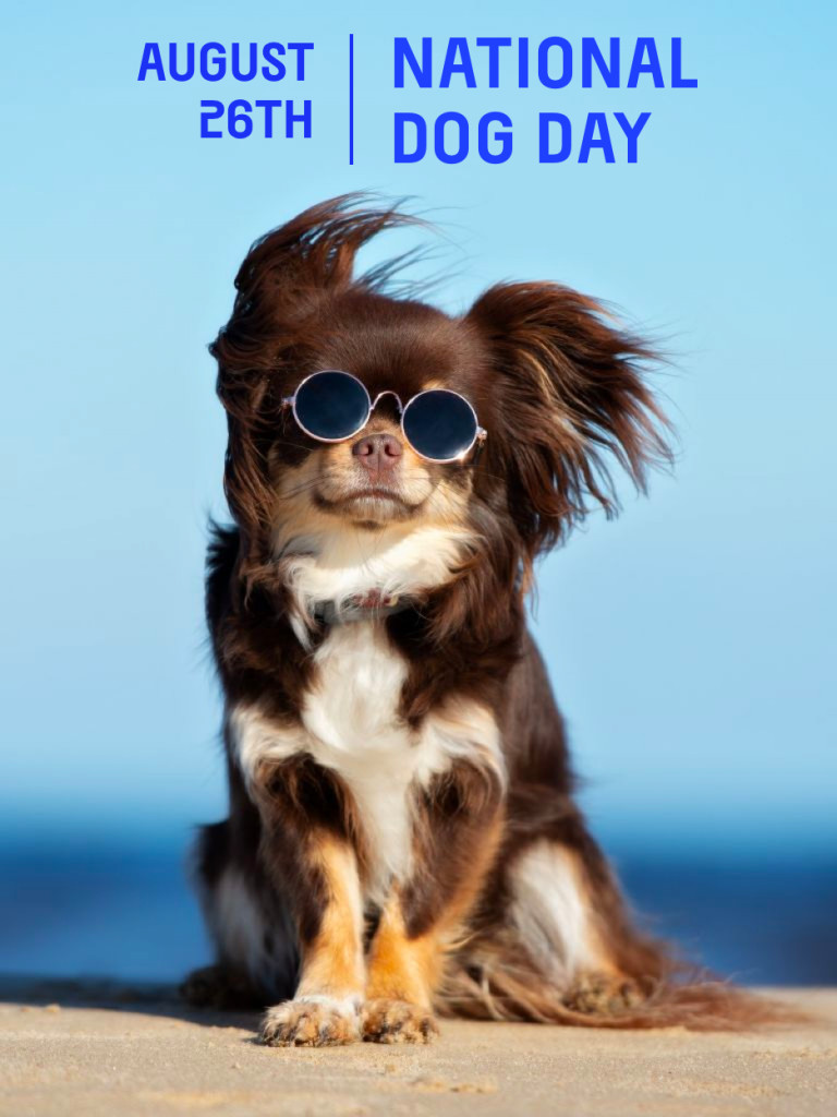mBB_Org's tweet photo. August 26 is National Dog Day.  That's right, today is National Dog Day.  And mBB offers you plenty of ways to save, not just on items for your puppy but for your kitty as well.  We are an EOPP (Equal Opportunity Pet Provider) - #MBBSAVES

https://t.co/kWRy5aC1N2

@MBB_Org https://t.co/UazmQeNLD7