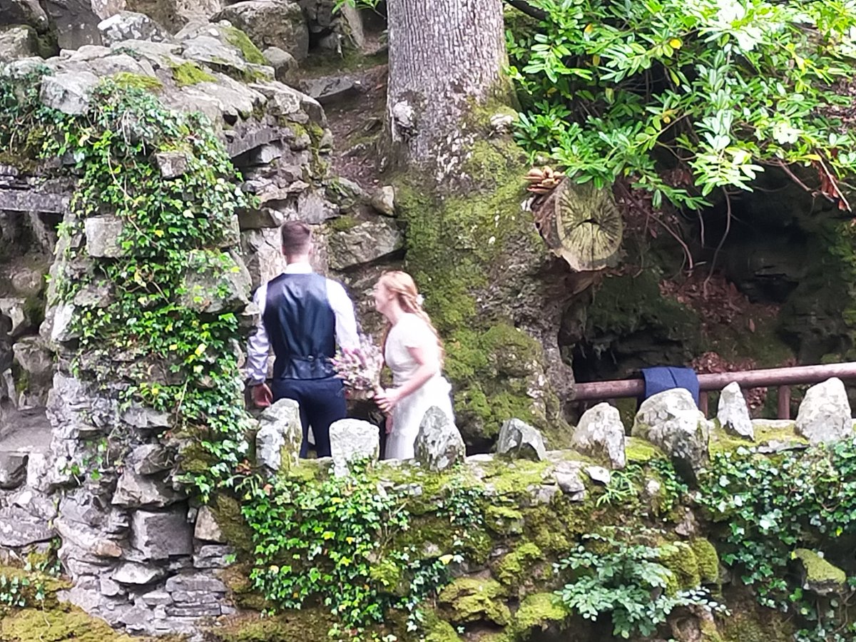 Saint Patrick's Way tweet media