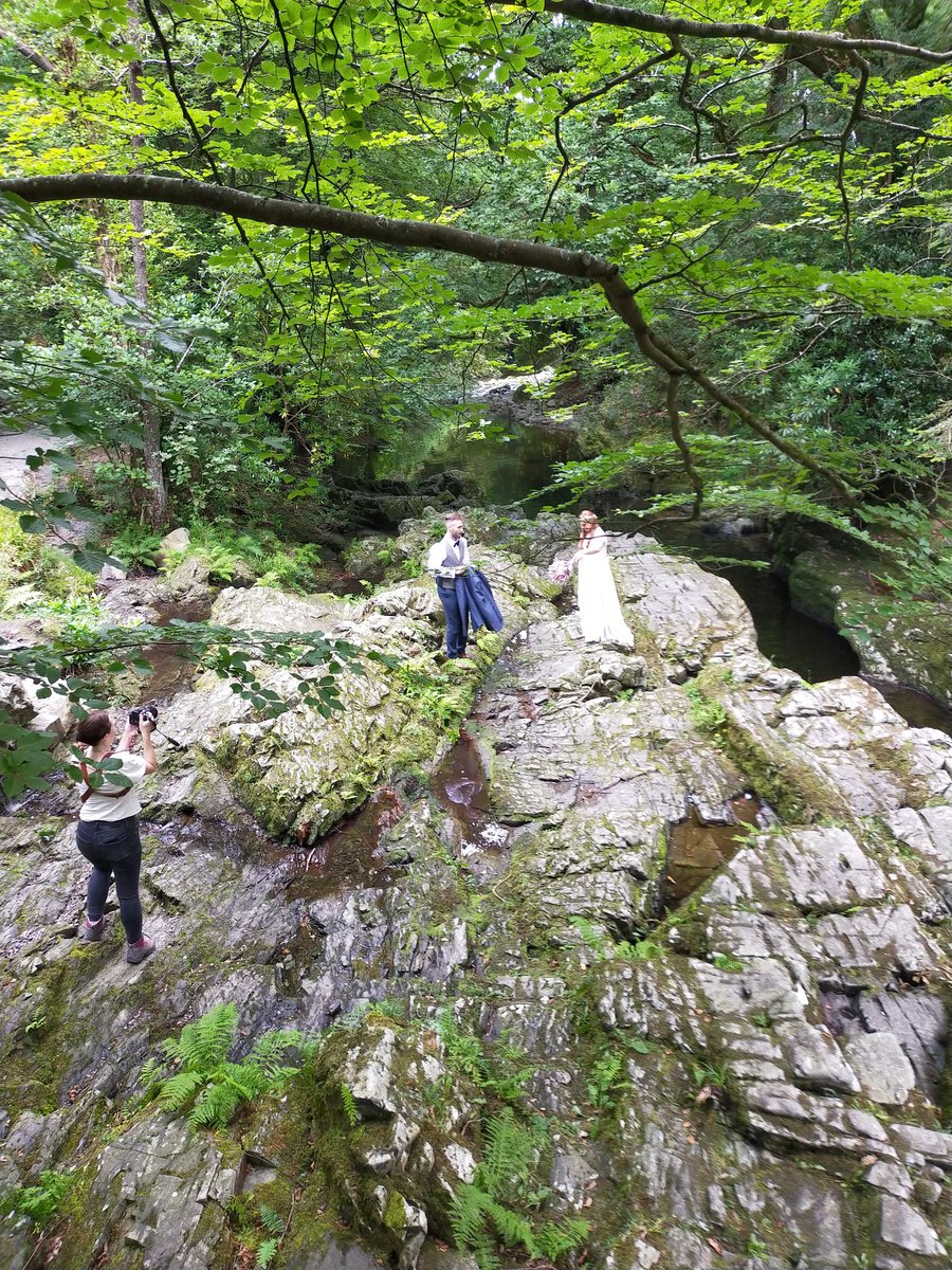 Martina Purdy tweet media