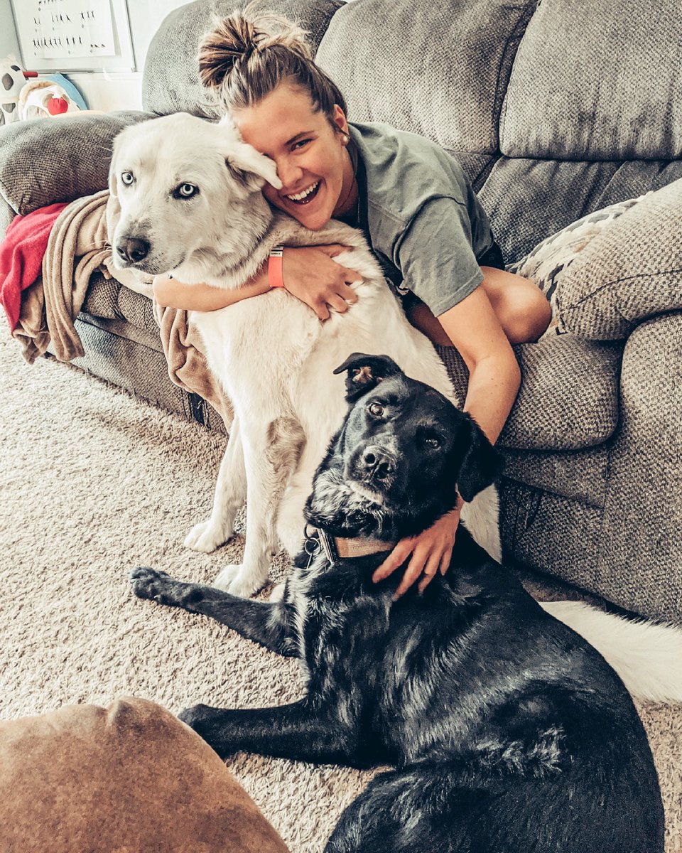 mollyyhooverr's tweet photo. @mosolions #MOSOpups The sweetest boys!! My best friends π€ https://t.co/nesWRG5aW9