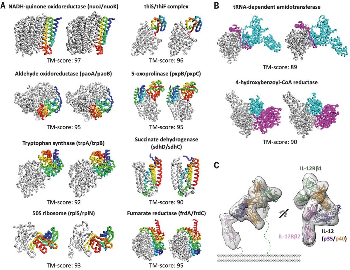 In a new Science study, researchers present #RoseTTAFold—an #AI network that can solve challenging x-ray crystallography and cryo–electron microscopy modeling problems and generate accurate models of protein-protein complexes.

Read more: fcld.ly/12qdtwg