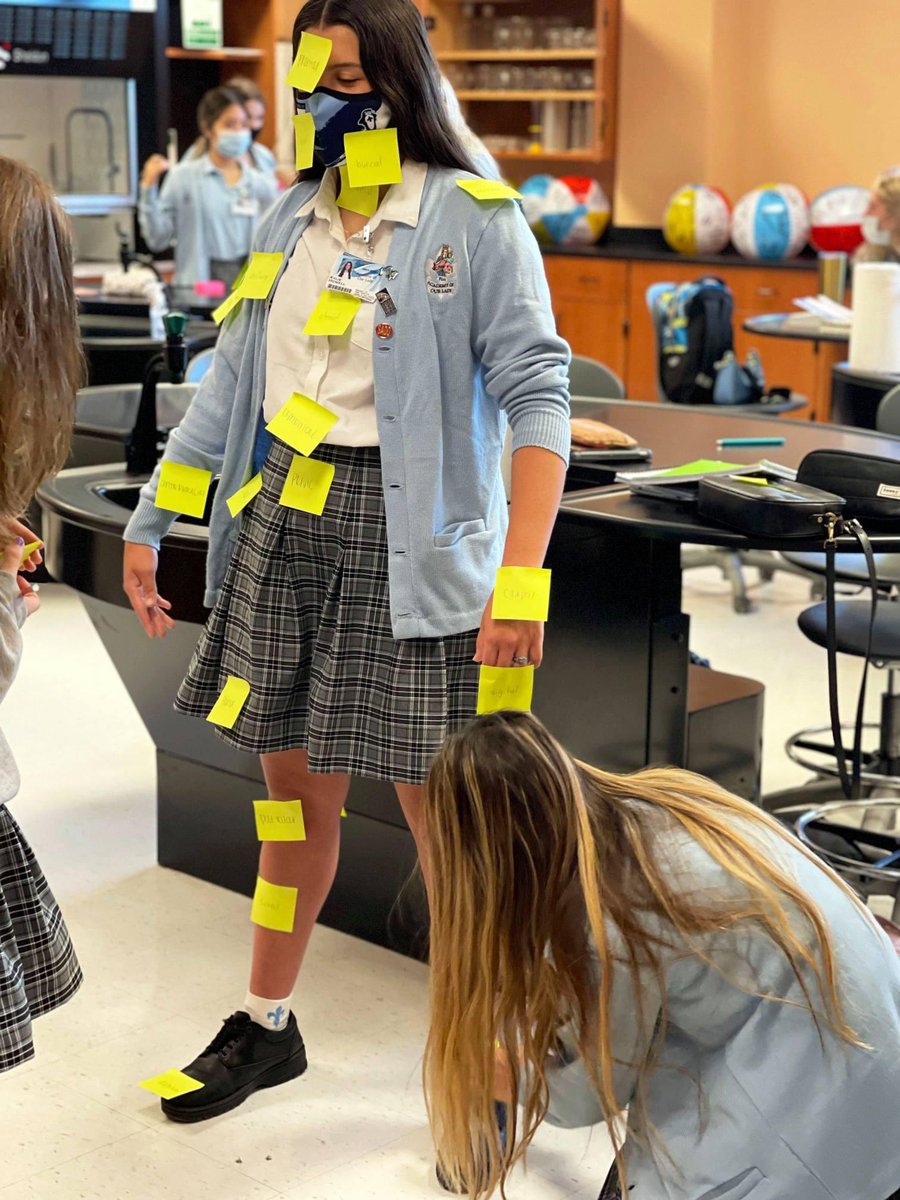 To promote understanding of anatomical terminology, directional terminology, regional terminology and planes of sectioning, Ms. Roper's Anatomy students became models in order to visualize parts of the body in relationship to one another. Great job Penguins! #PenguinProud