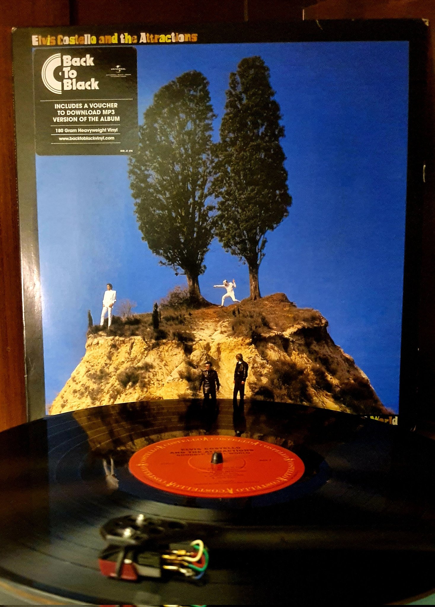 Happy Birthday Elvis Costello. New addition. 