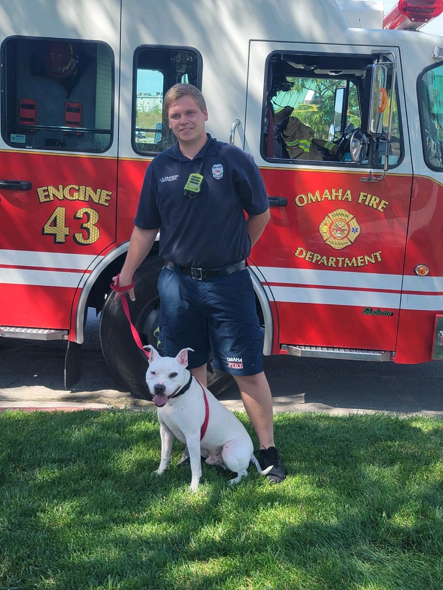 OmahaFireDept's tweet photo. Happy #NationalDogDay! Our Engine 43 C-Shift crew visited the @NEHumaneSociety this week to help spotlight some of their adoptable dogs! πΎVisit the NHS website to view all of their animals: https://t.co/6lqj5xZpim
#OFDCares #CommunityConnections https://t.co/fQwIJFHxh9