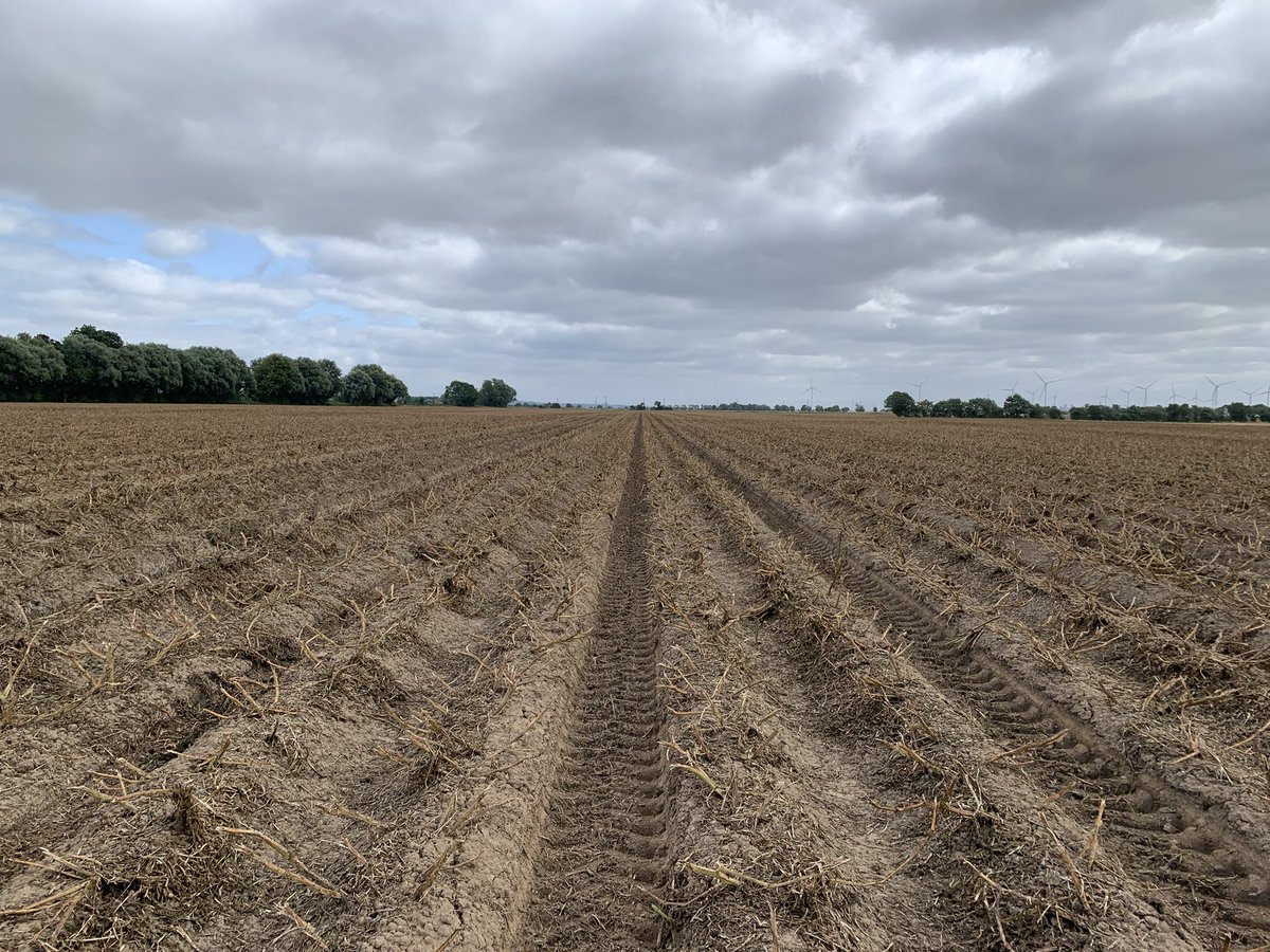 Agronomysilvers's tweet photo. Cracking day looking at desiccation trials with @davidpeach26 #belchim @AgriiUK #trials #gozai #potatoes🥔🥔 #veryinformative https://t.co/bhDefzncUq