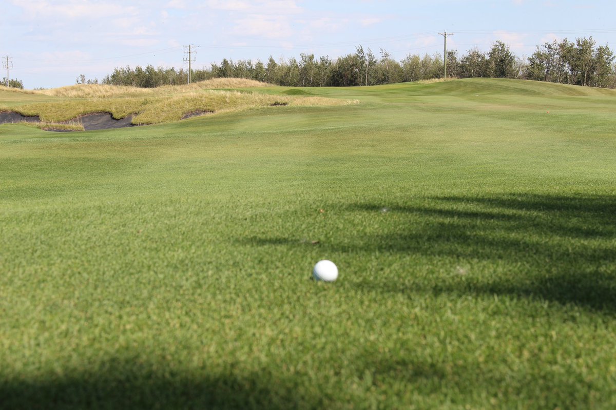 jrluckygolf tweet media