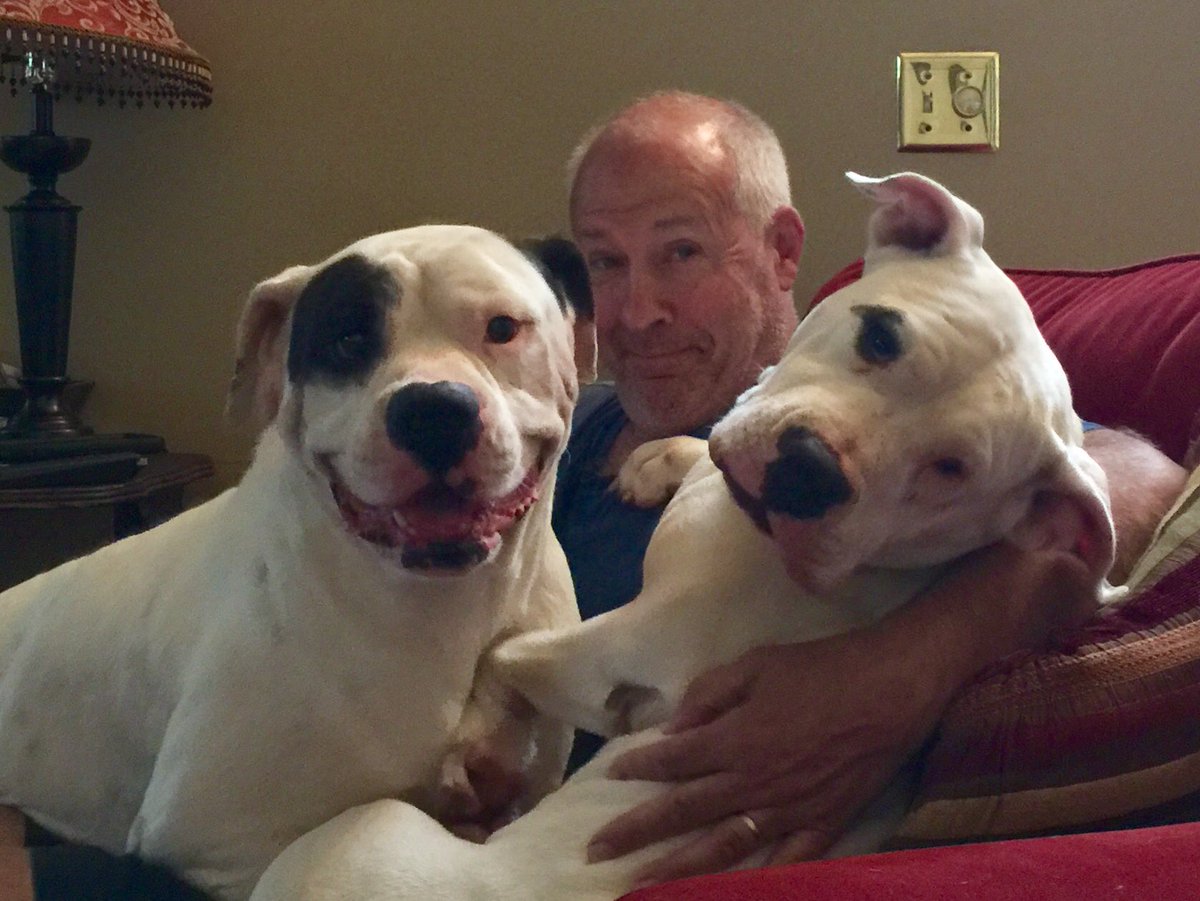 TheJohnNewberg's tweet photo. “Dogs do speak, but only to those who know how to listen.”– Orhan Pamuk #doglover #NationalDogDay https://t.co/LOXMJyqMN0