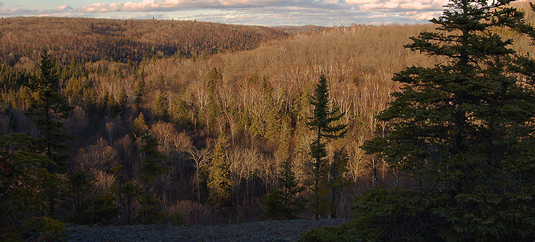 ExpedOutdoors's tweet photo. How was your walk today? https://t.co/rqqiSeMG7f