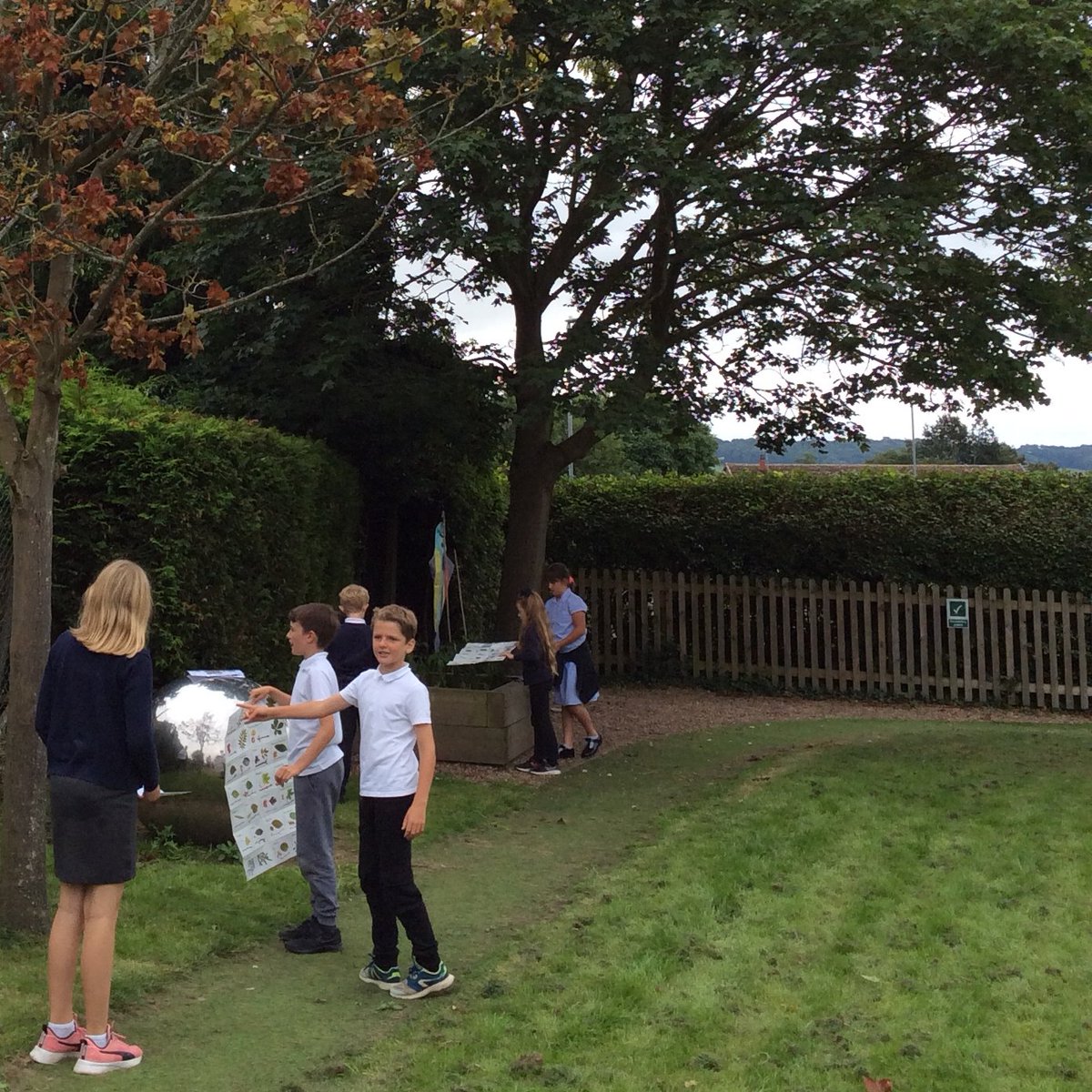Y5/6 participating in a science lesson -  classification of leaves and mapping the trees found on the school field.  #outdoorlearning #leicestershireschools