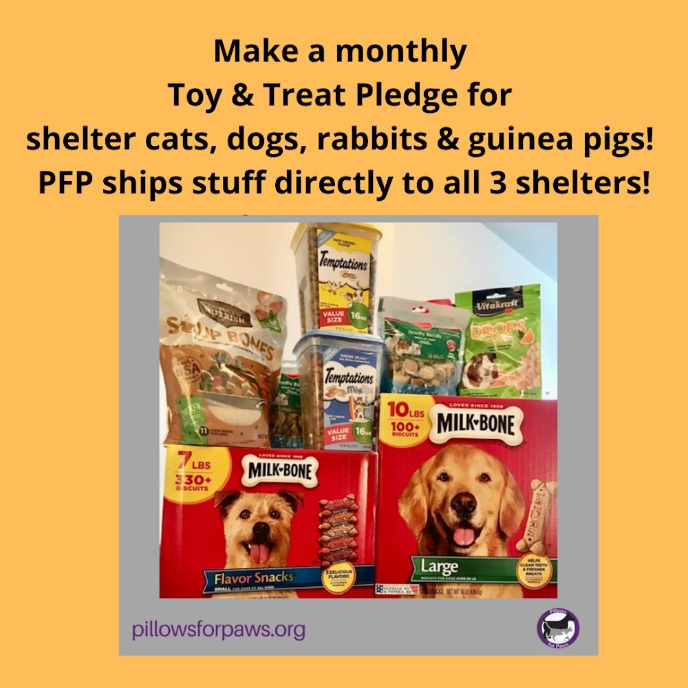 Pillows for Paws tweet media